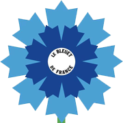 Logo bleuet